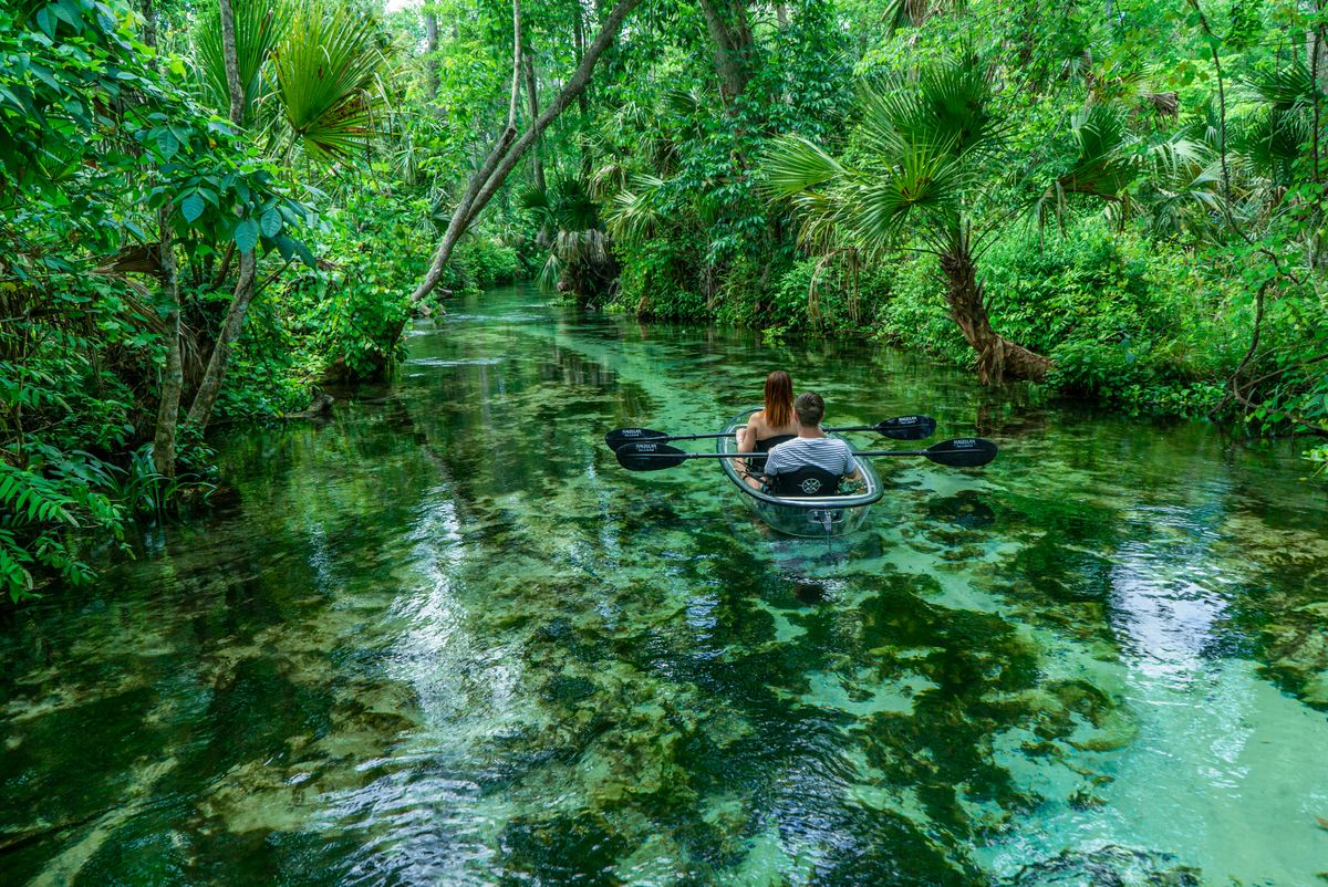 Crystal-clear spring water at Rock Springs Run near Apopka, FL