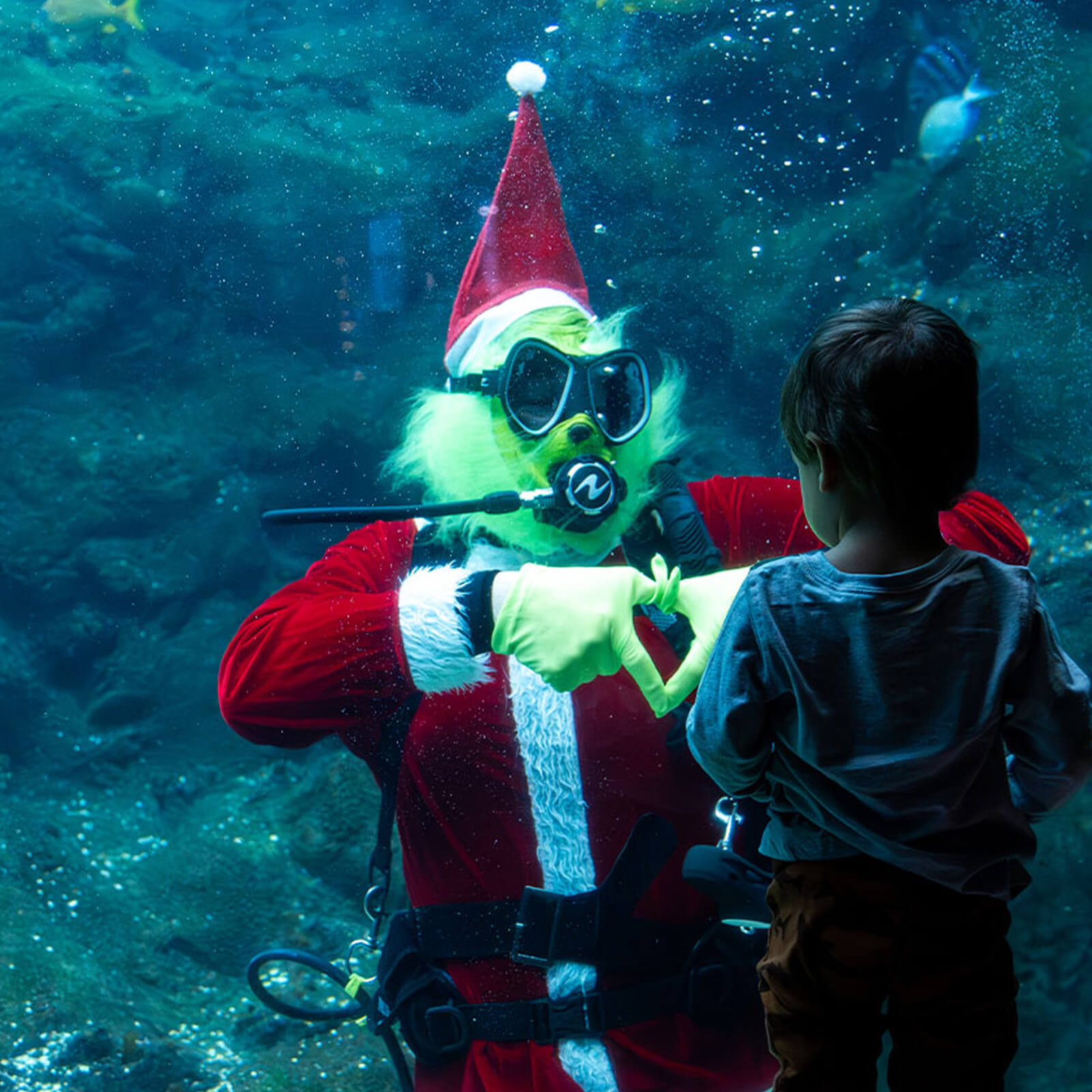 YuleTides at The Florida Aquarium Tampa, holiday event