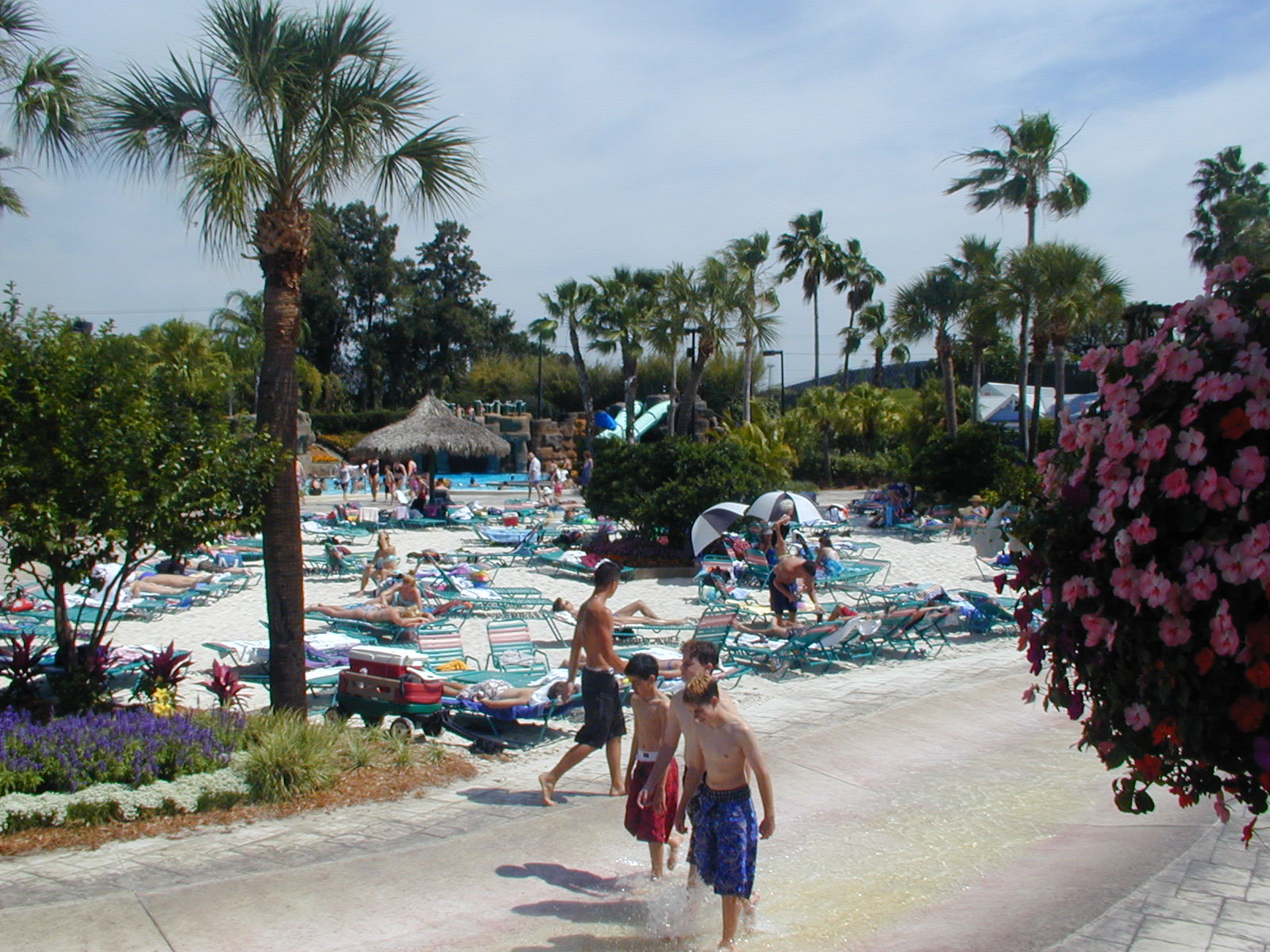 Colorful water slides and pools at Adventure Island Tampa water park